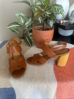 Joie Women’s Brown Leather Block Heel Sandals with Ankle Strap